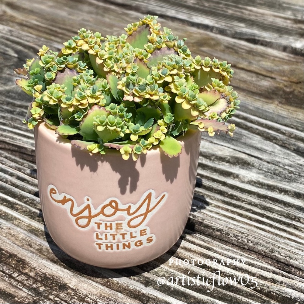 Remember To Stop And Enjoy The Little Things!